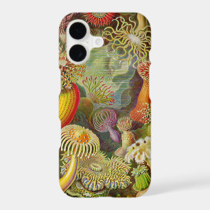 Ernst Haeckel's Actinae Ocean Life