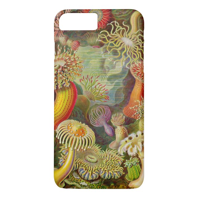 Ernst Haeckel's Actinae Ocean Life Case-Mate iPhone Case (Back)