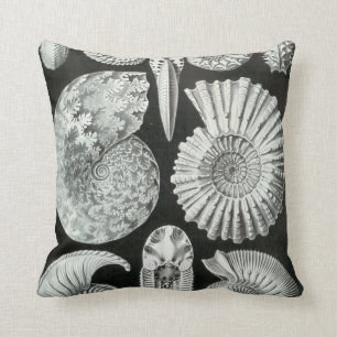 Ernst Haeckel's Ammonites Cushion