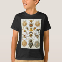 Ernst Haeckel's Arachnida Spiders