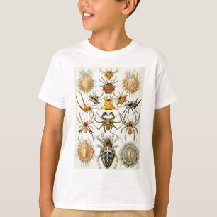 Ernst Haeckel's Arachnida Spiders T-Shirt