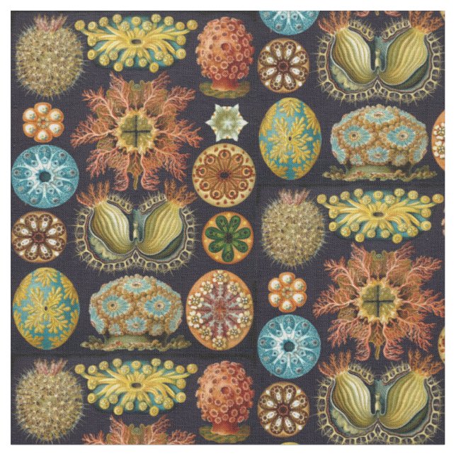 Ernst Haeckel's Ascidiae Ocean Life Fabric (Close Up)
