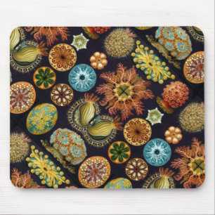Ernst Haeckel's Ascidiae Ocean Life Mouse Mat