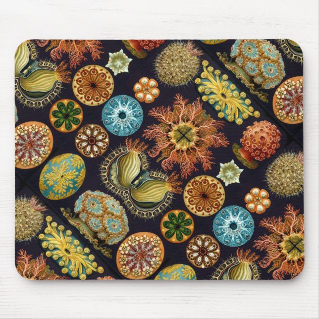 Ernst Haeckel's Ascidiae Ocean Life Mouse Mat (Front)