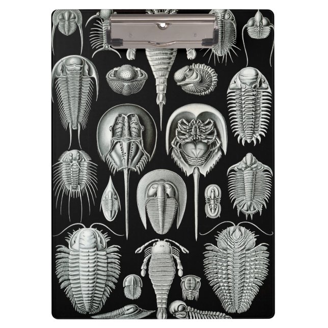 Ernst Haeckel's Aspidonia Clipboard (Front)