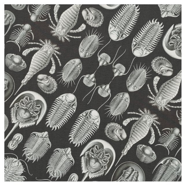 Ernst Haeckel's Aspidonia Fabric (Close Up)