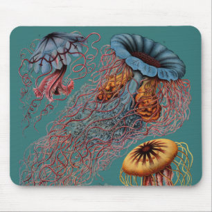 Ernst Haeckel's Disco Medusae Mouse Mat