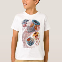 Ernst Haeckel's Disco Medusae