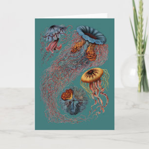 Ernst Haeckel's Disk Medusae Card