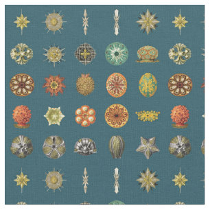 Ernst Haeckel's Ocean Jewels Fabric