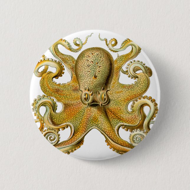 Ernst Haeckel's Octopus 6 Cm Round Badge (Front)