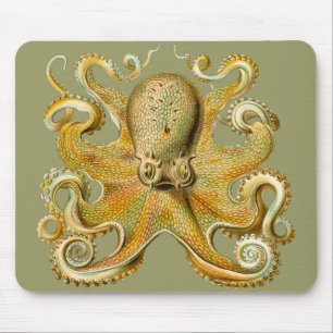 Ernst Haeckel's Octopus Mouse Mat