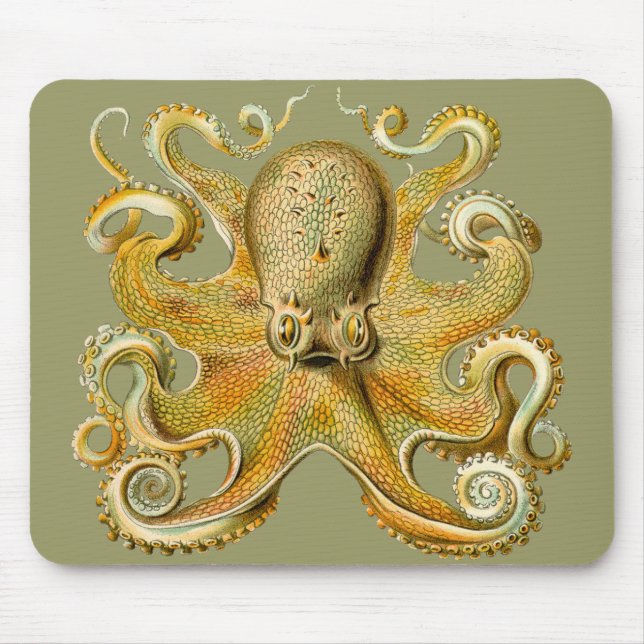 Ernst Haeckel's Octopus Mouse Mat (Front)