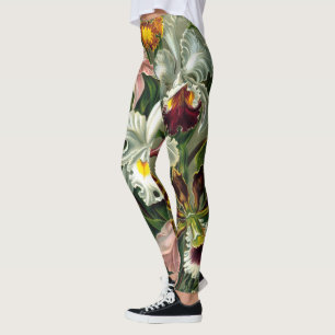 Ernst Haeckel's Orchidaceae Leggings