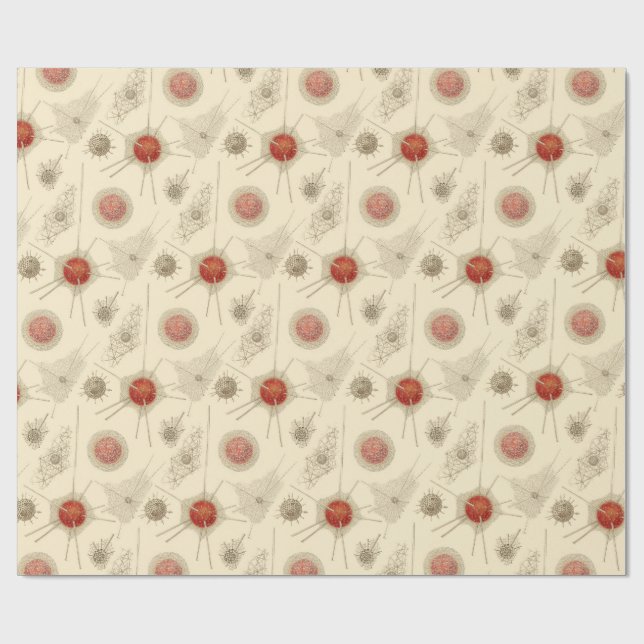 Ernst Haeckel's Radiolarian Wrapping Paper (Flat)