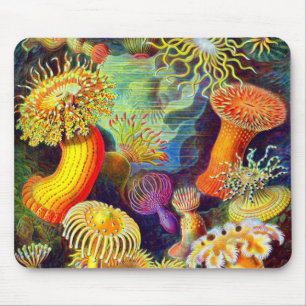 Ernst Haeckel's Sea Anemones Mouse Mat