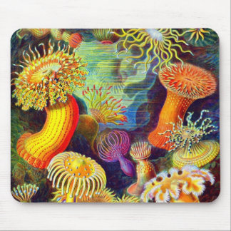 Ernst Haeckel's Sea Anemones Mouse Mat