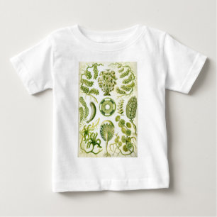 Ernst Haeckel's Siphoneae Seaweed and Algae Baby T-Shirt