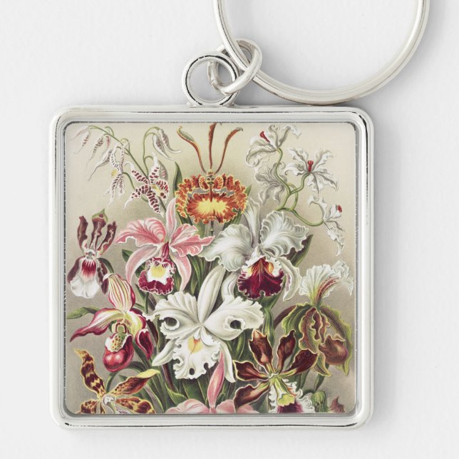 ErnstHaeckel Vintage Botanical Orchid Illustration Key Ring (Front)