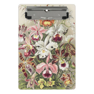 ErnstHaeckel Vintage Botanical Orchid Illustration Mini Clipboard
