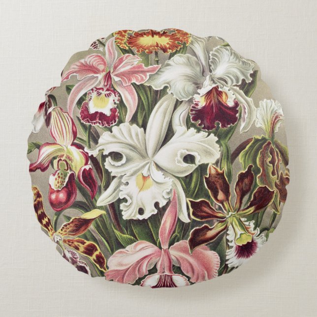 ErnstHaeckel Vintage Botanical Orchid Illustration Round Cushion (Front)