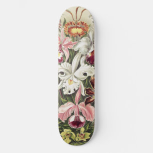 ErnstHaeckel Vintage Botanical Orchid Illustration Skateboard