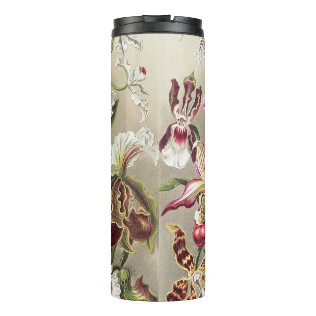 ErnstHaeckel Vintage Botanical Orchid Illustration Thermal Tumbler (Back)