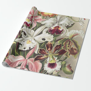 ErnstHaeckel Vintage Botanical Orchid Illustration Wrapping Paper