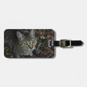 Eros Luggage Tag