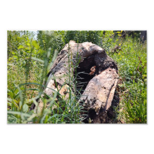 Erosion Carving Photo Print