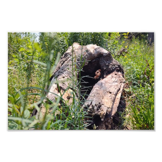 Erosion Carving Photo Print (Front)