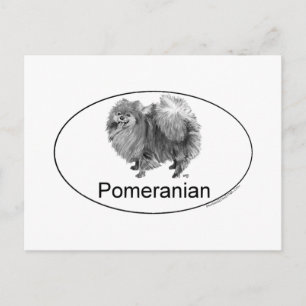 Eruo Pomeranian Dog Postcard