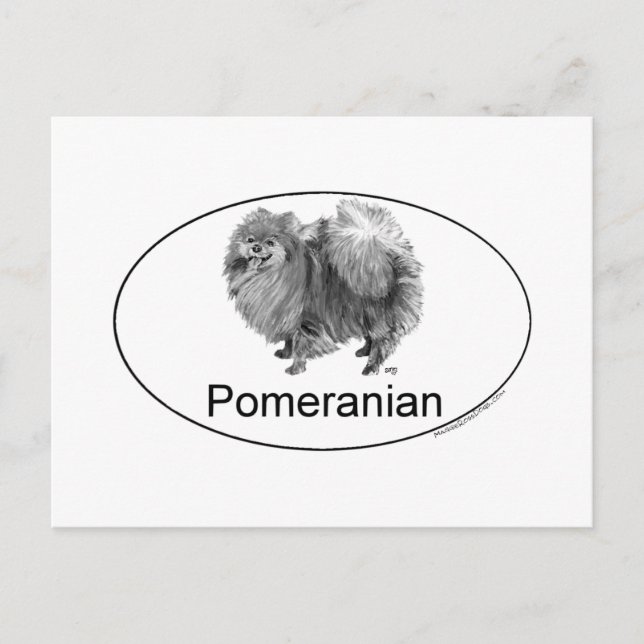 Eruo Pomeranian Dog Postcard (Front)