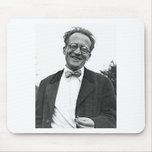 erwin schrodinger mouse mat
