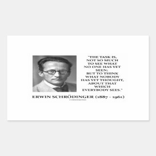 Erwin Schrödinger Task Think Nobody Yet Thought Rectangular Sticker