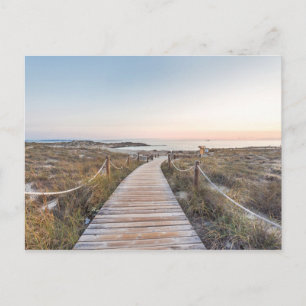 Es Pujols Beach at Dawn Postcard