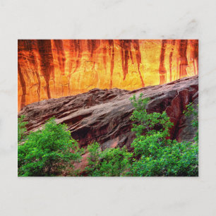 Escalante Neon Canyon and Foliage   Utah Postcard