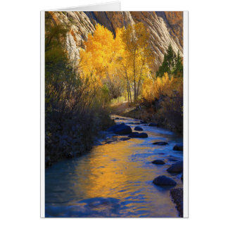 Escalante Reflection