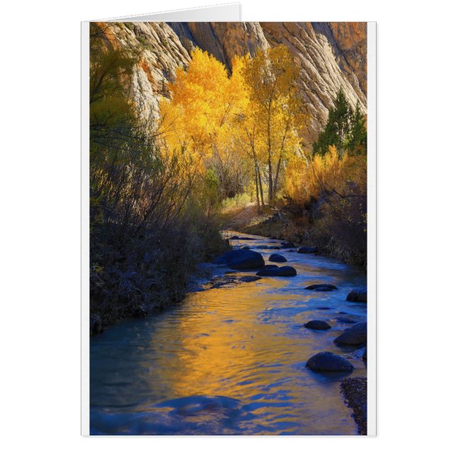 Escalante Reflection (Front)