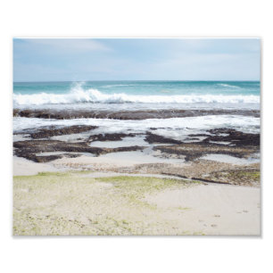 Escape To Spring Photo Print