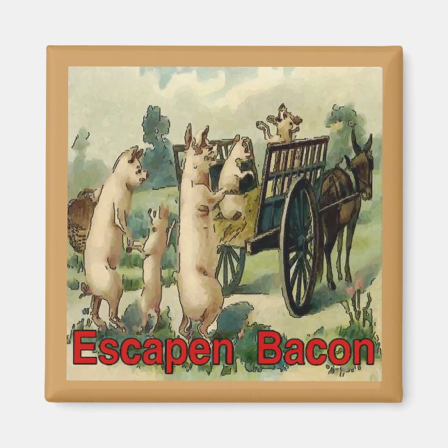 Escaping Bacon,  Hogs Magnet (Front)