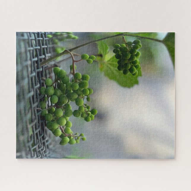 Escaping the fence jigsaw puzzle (Horizontal)