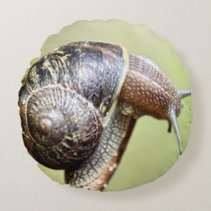 Escargot - The Rich Delight Round Cushion