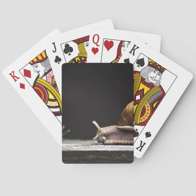 Escargots - Snail Mollusk Playing Cards (Back)