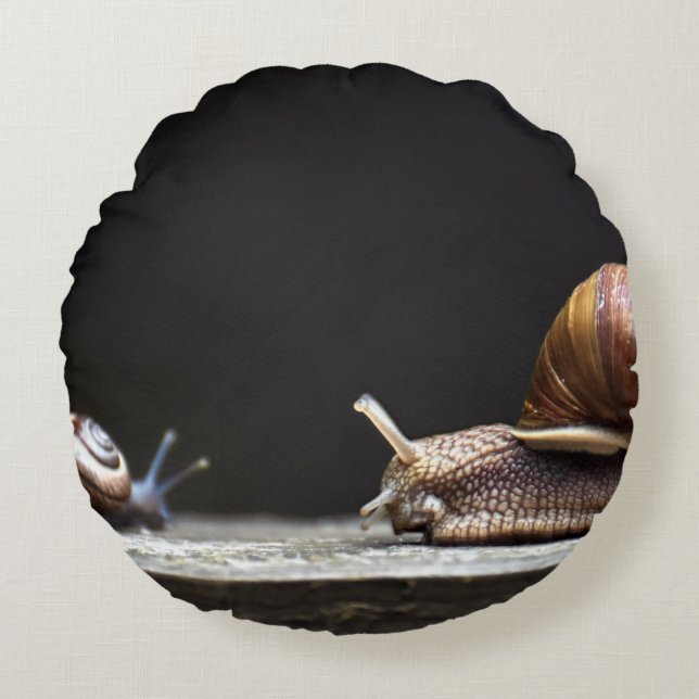 Escargots - Snail Mollusk Round Cushion (Front)