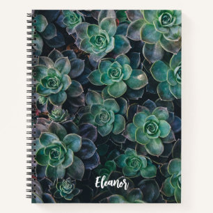Esceveria Succulent Plant Themed Notebook