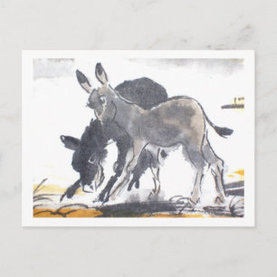 Esel No. 01 * Esel-Postkarten * Donkey-Postcards Postcard