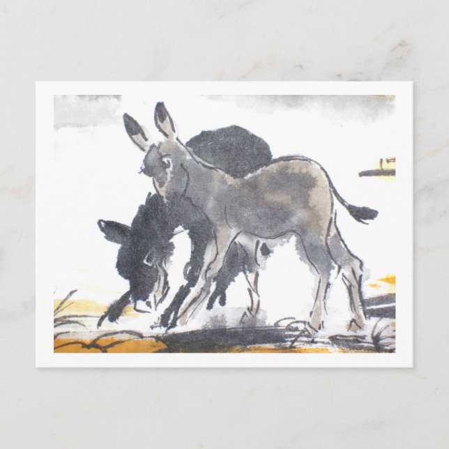 Esel No. 01 * Esel-Postkarten * Donkey-Postcards Postcard (Front)
