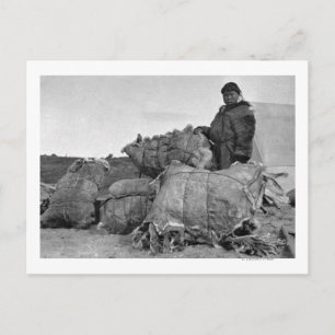 Eskimo Fur Dealer in Nome, Alaska Photograph Postcard