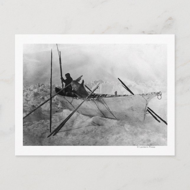 Eskimo in Boat made with Skins called an Omiak Postcard (Front)